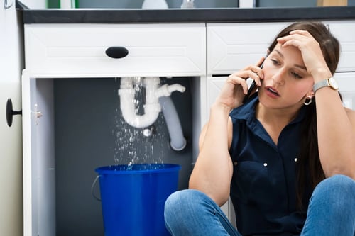 Lady talking on the phone, behind her a pipe under sink is leaking water