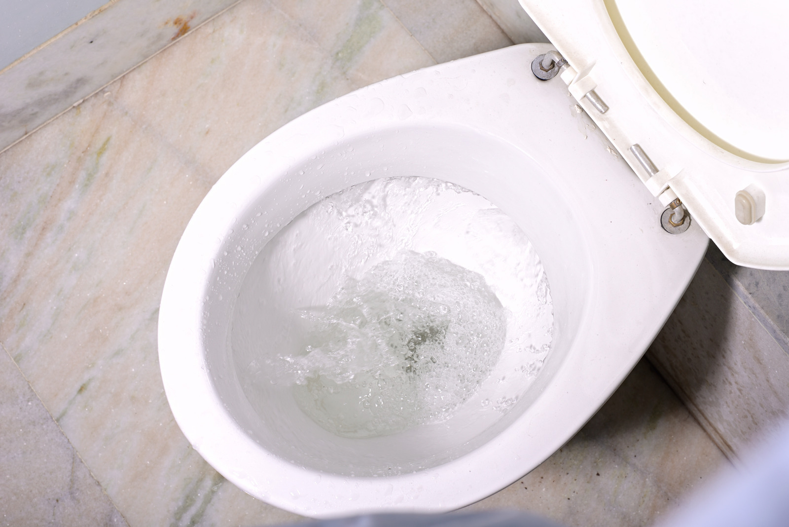 toilet